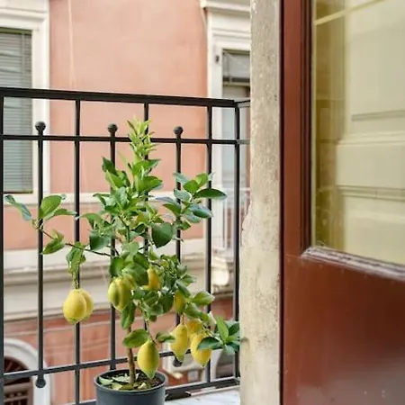 Apartament Anef Katania